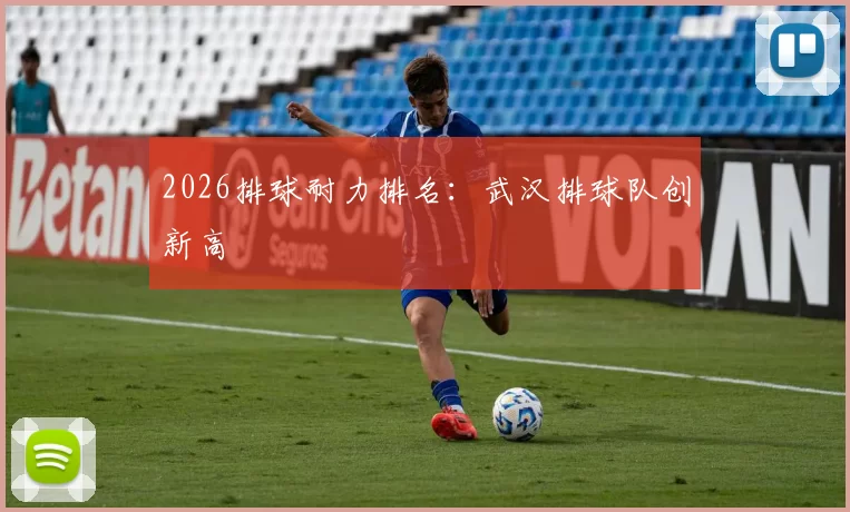 2026排球耐力排名：武汉排球队创新高