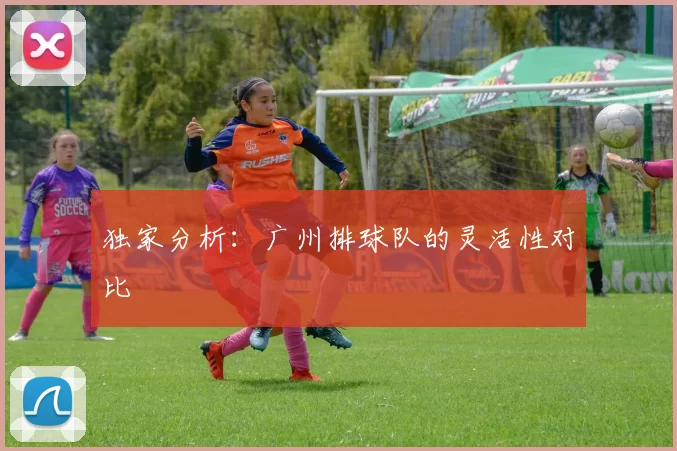 独家分析：广州排球队的灵活性对比