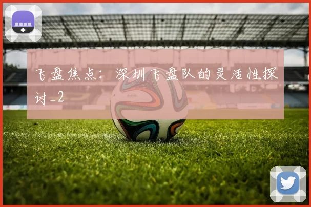 飞盘焦点：深圳飞盘队的灵活性探讨_2