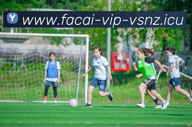 开云体育平台生态图