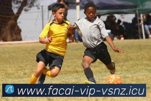 开云体育全站App